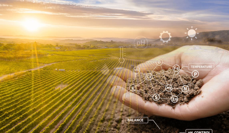 Nutrición vegetal mejora la producción de cultivos