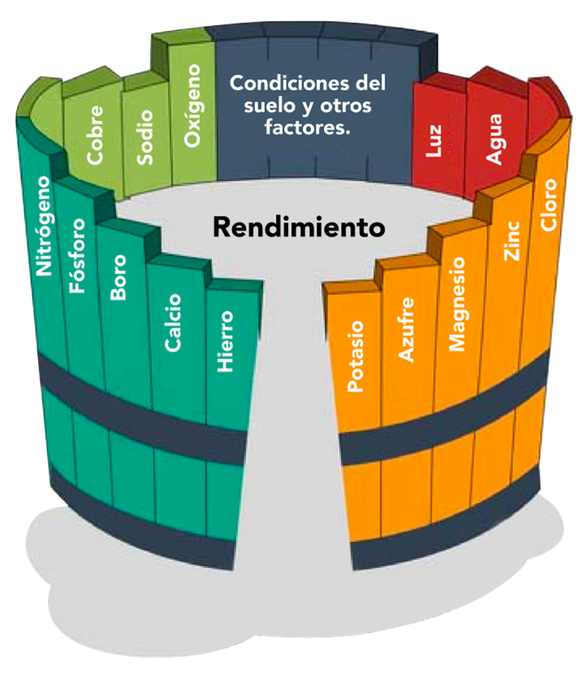 Nutrientes esenciales suelo para correcto crecimiento de cultivos