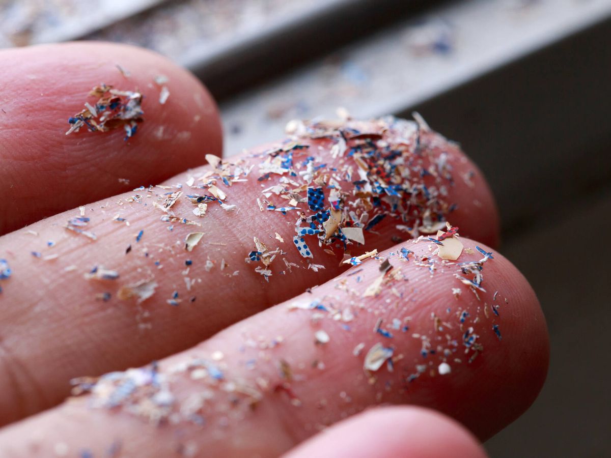 Impacto de los microplasticos en la salud