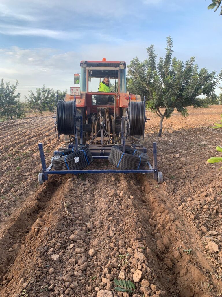 SUB-SURFACE DRIP IRRIGATION carob trees