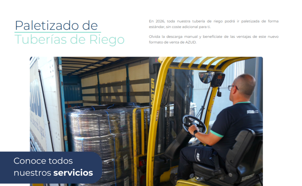 Conoce-todos-nuestros-servicios